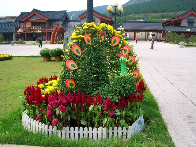 zyqclub.lv